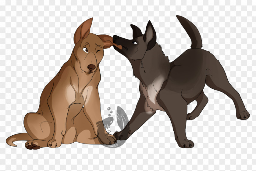 Dog Breed Snout Wildlife PNG