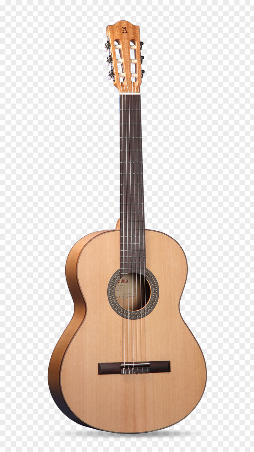 Guitar C. F. Martin & Company Acoustic-electric Classical Acoustic PNG