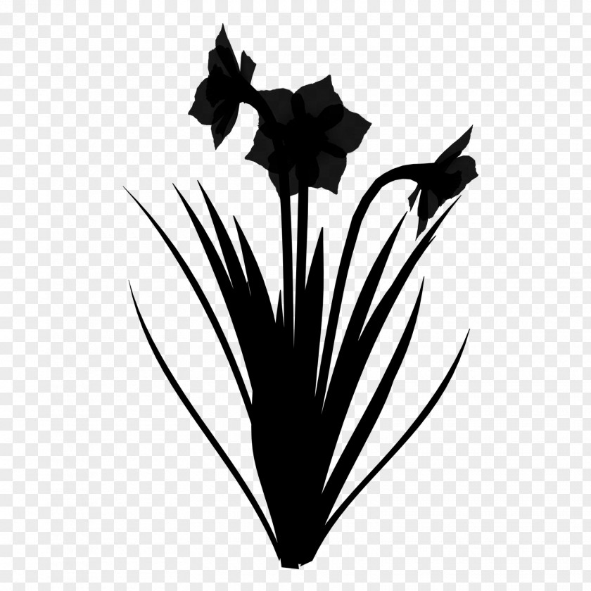 Logo Flower Font Silhouette Desktop Wallpaper PNG