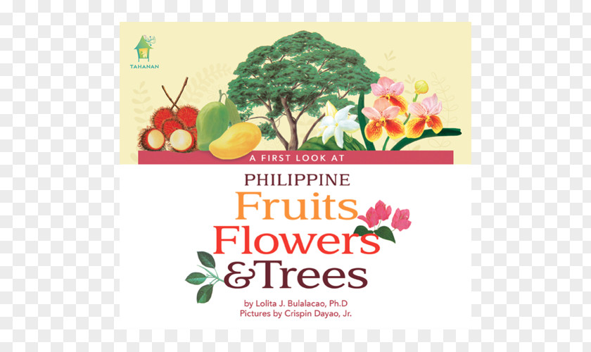 Book A First Look At Philippine Fruits Philippines Butterflies Floral Design PNG