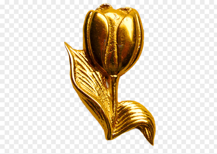Gold 01504 Bronze PNG