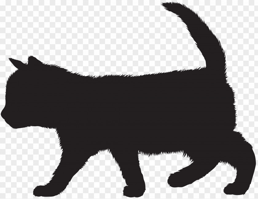 Kitten Silhouette Clip Art Image Black Cat PNG