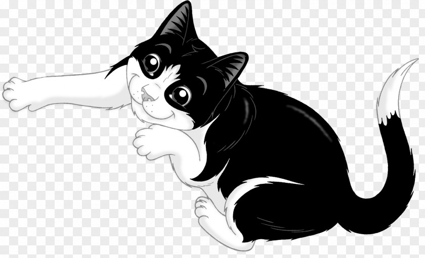 Kitten Whiskers Black Cat Felix The PNG