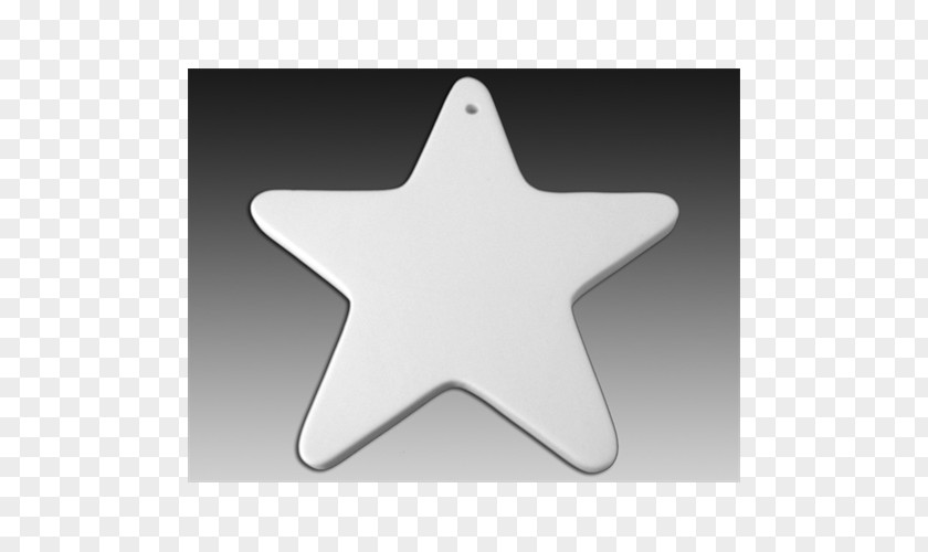 Starfish Angle PNG