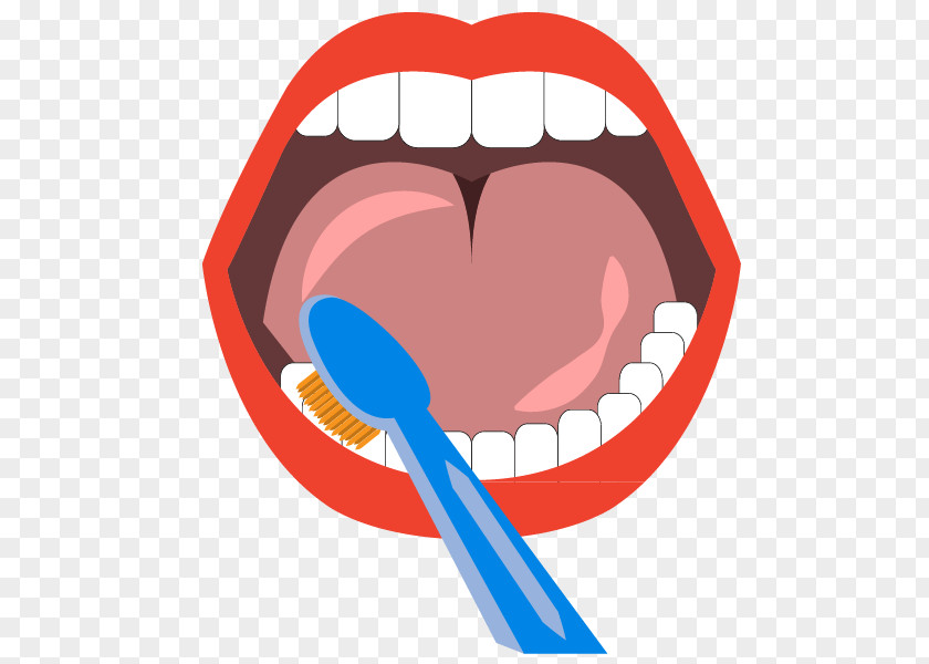Vector Brushing Teeth To Mouth Tooth Cleaning Euclidean PNG