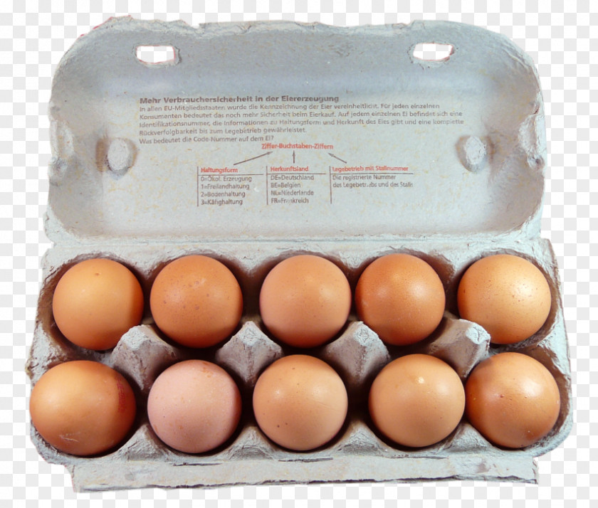 Chicken Egg Carton White PNG
