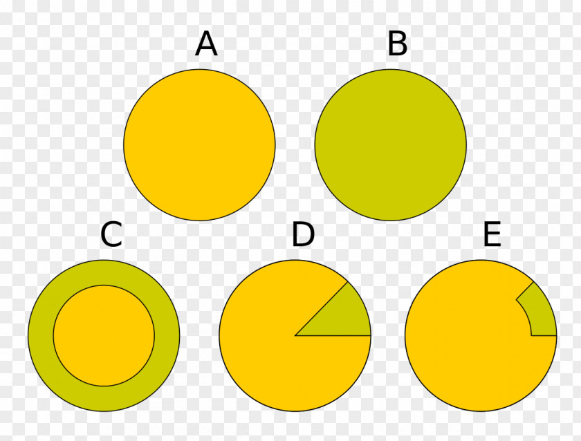 Chimera Genetics Organism Cell Microchimerism PNG