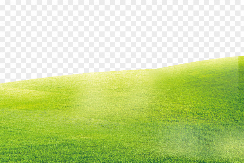 Green Grass Background PNG