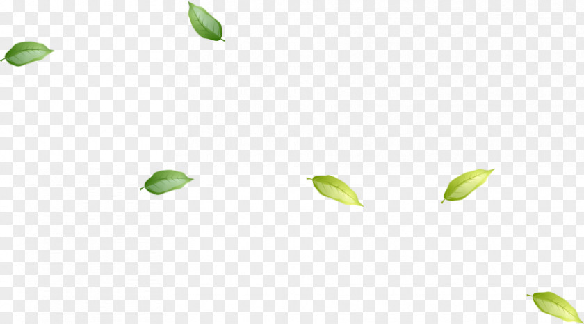 Green Leaves Floating PNG
