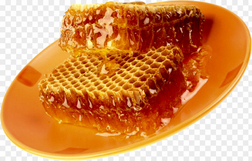 Honey Pekmez Bee Honeycomb Pine PNG