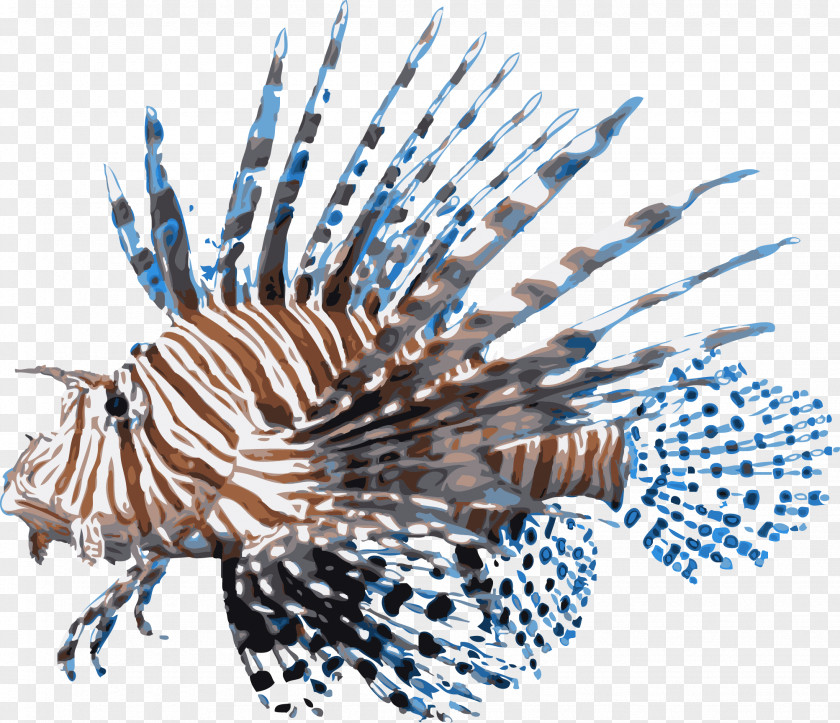 Marine Fish Red Lionfish Desktop Wallpaper Scorpionfish PNG
