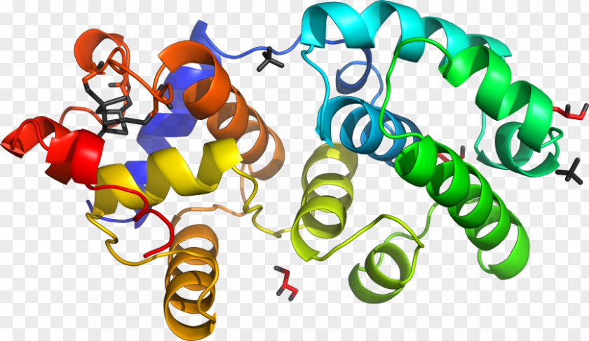 Methylmalonylcoa Organism Line Clip Art PNG