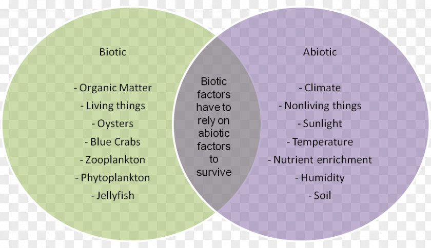 Player Versus Environment Abiotic Component Animal .com Mixture PNG