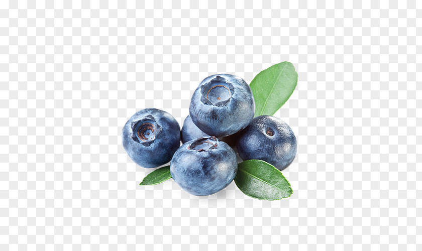 Arandanos Bilberry Marmalade Dietary Supplement Food Fruit PNG