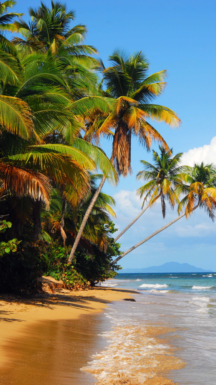 Beaches IPhone 6 Plus Culebra Desktop Wallpaper Beach PNG