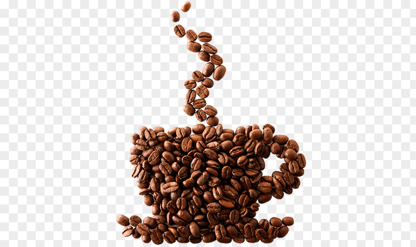 Coffee Bean Cafe Espresso Single-origin PNG
