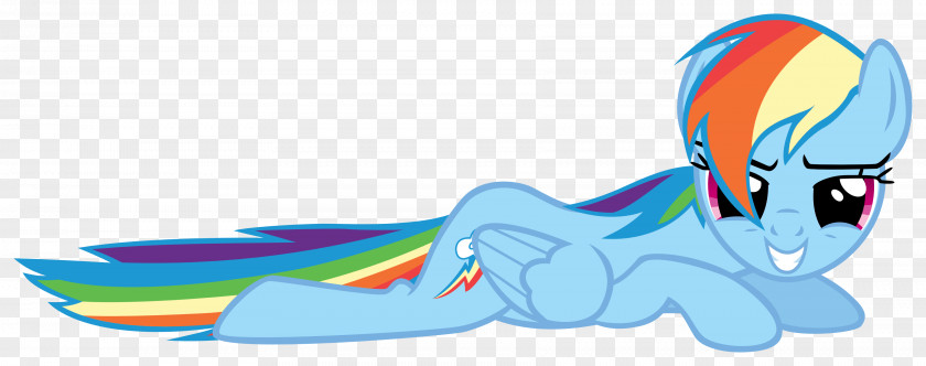 My Little Pony Rainbow Dash Applejack PNG