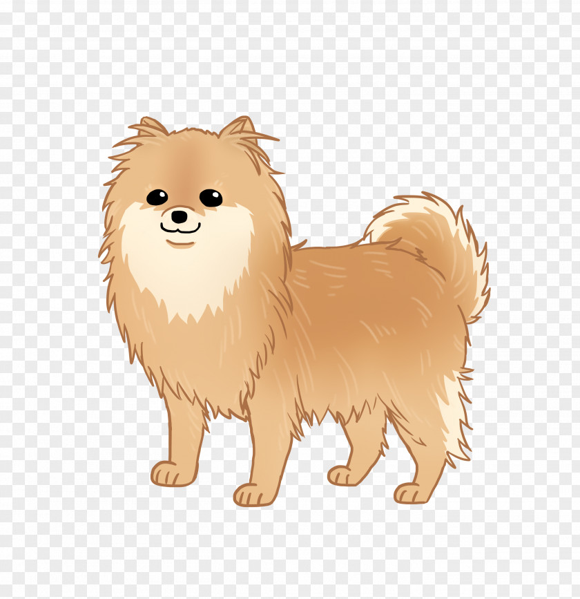 Puppy German Spitz Klein Pomeranian Mittel Dog Breed Rare (dog) PNG