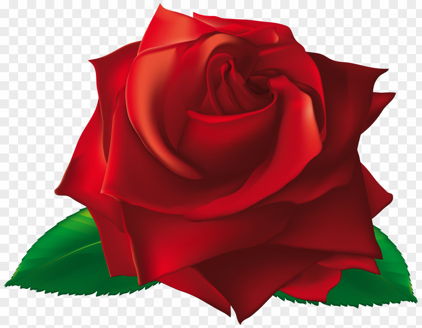 Red Single Rose Clipart Image Flower Royalty-free Clip Art PNG