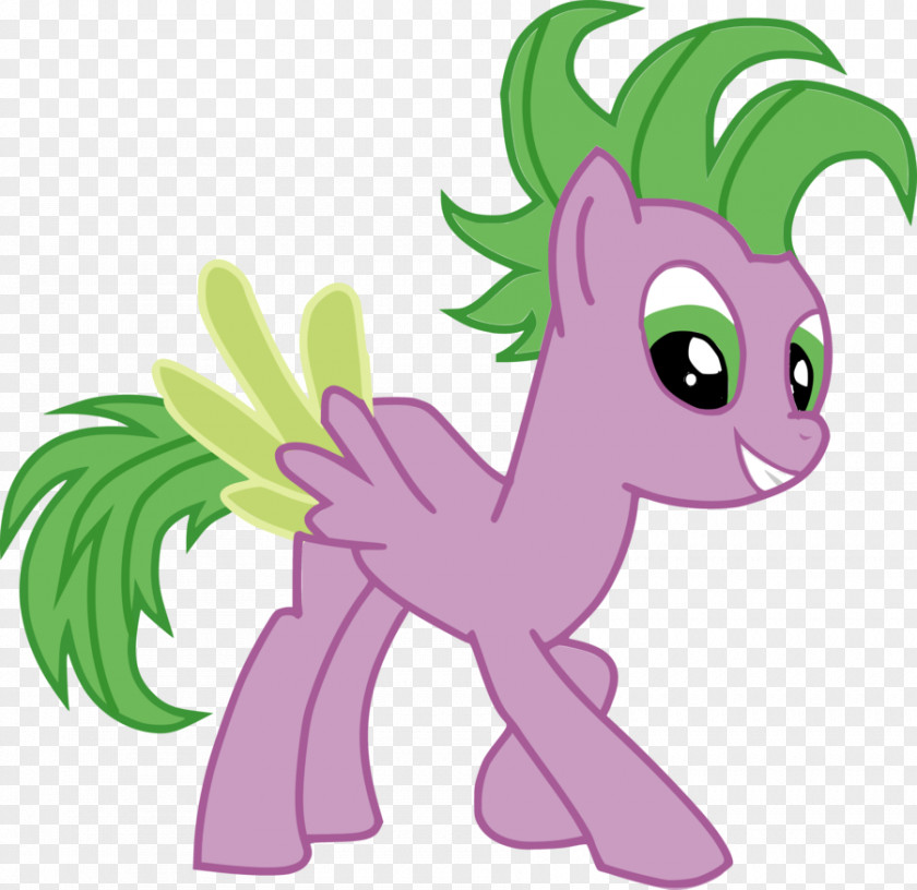 Spike Twilight Sparkle Pony Pinkie Pie Rainbow Dash PNG