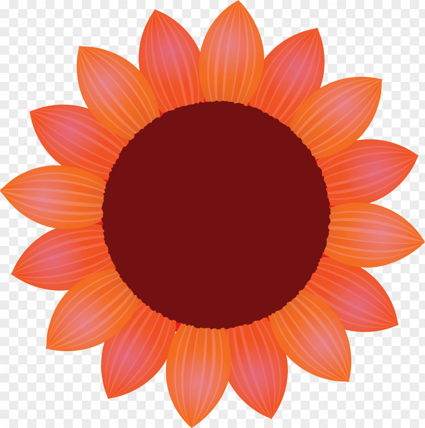 Sunflower Petal Flower PNG