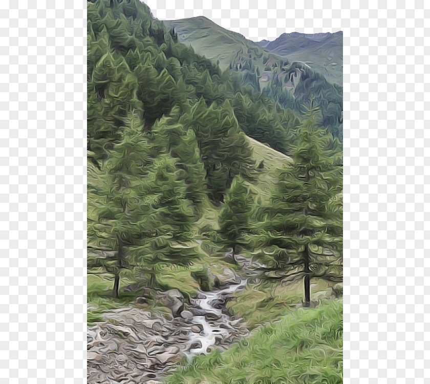 Vegetation Nature Reserve Highland Mountainous Landforms Tree Natural Landscape PNG