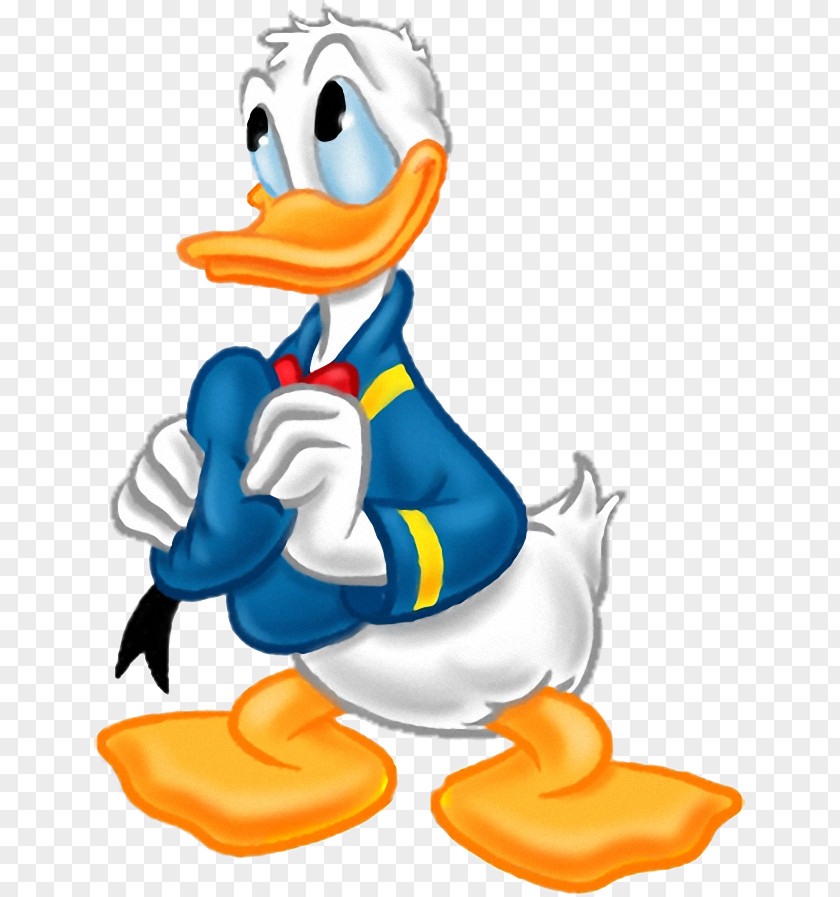 Donald Duck Daisy Scrooge McDuck PNG