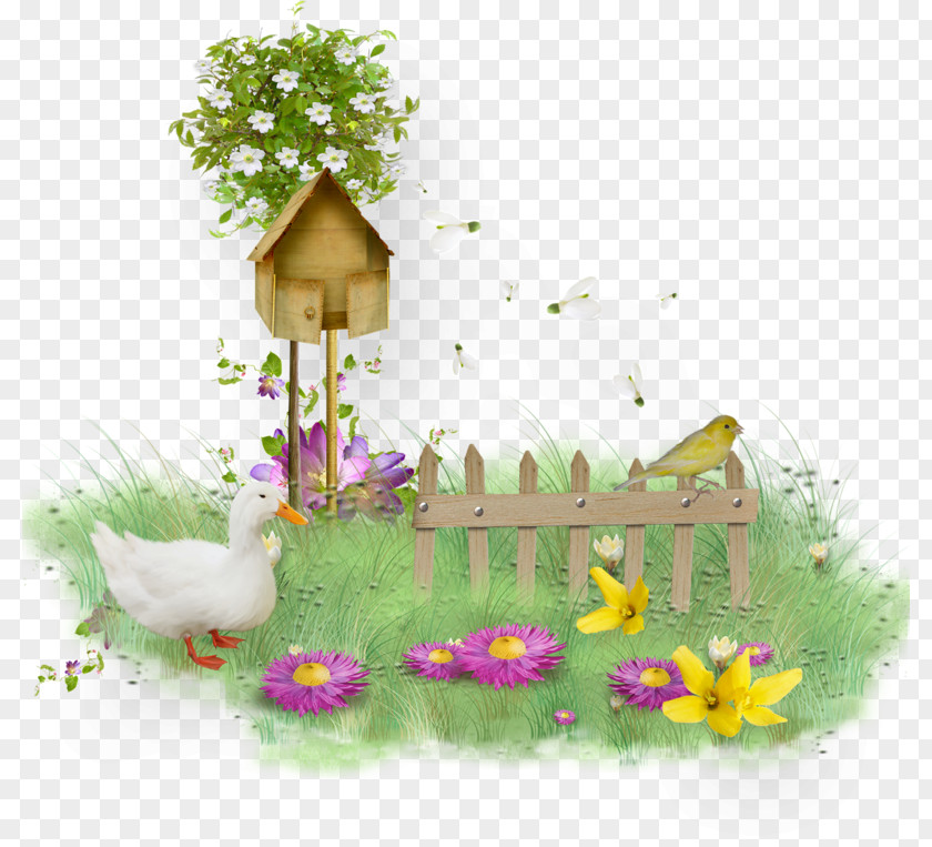 Easter Frame Spring Flower Autumn Clip Art PNG