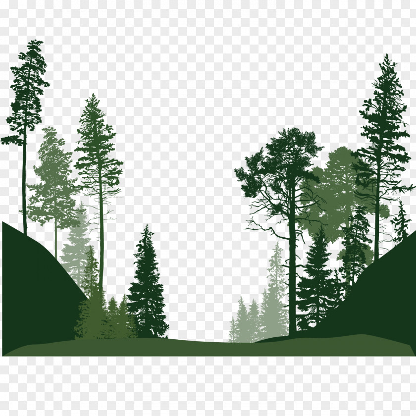 Forest Trees Euclidean Vector Tree PNG