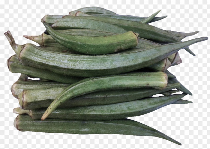 Mallow Family Vegetable Okra Plant Food PNG
