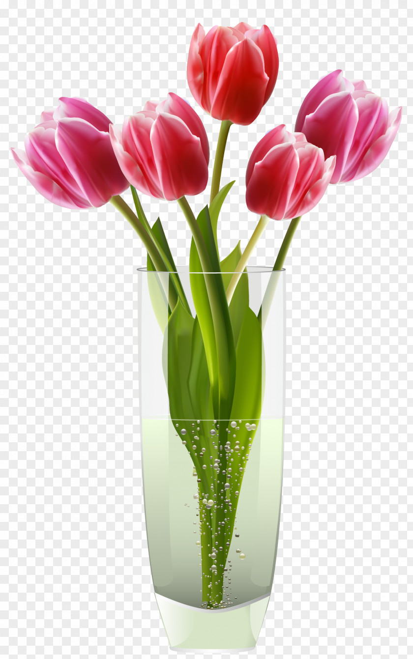 Pink Red Tulips Vase Clipart Tulip Flower PNG