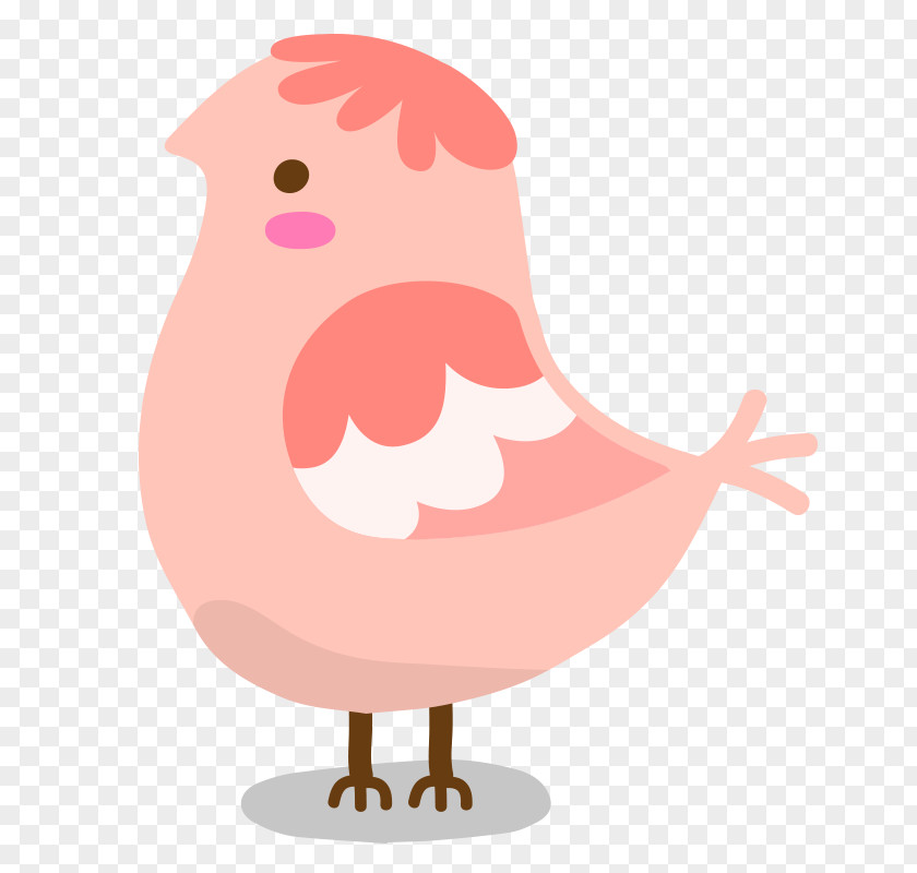 Simple Bird Chicken Vector Graphics Illustration PNG