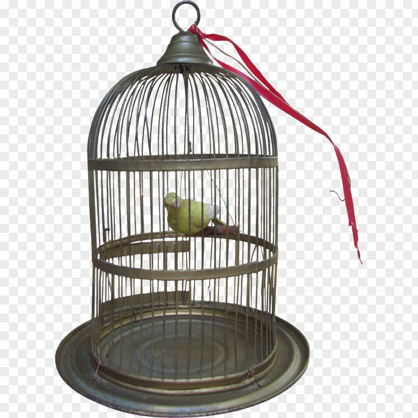 Bird Cage Iron Brenden PNG
