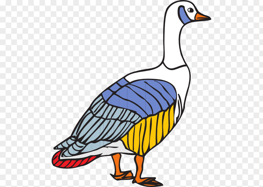 Goose Canada Bird Clip Art PNG