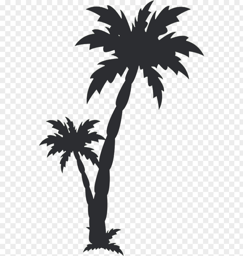 Tree Arecaceae Clip Art PNG