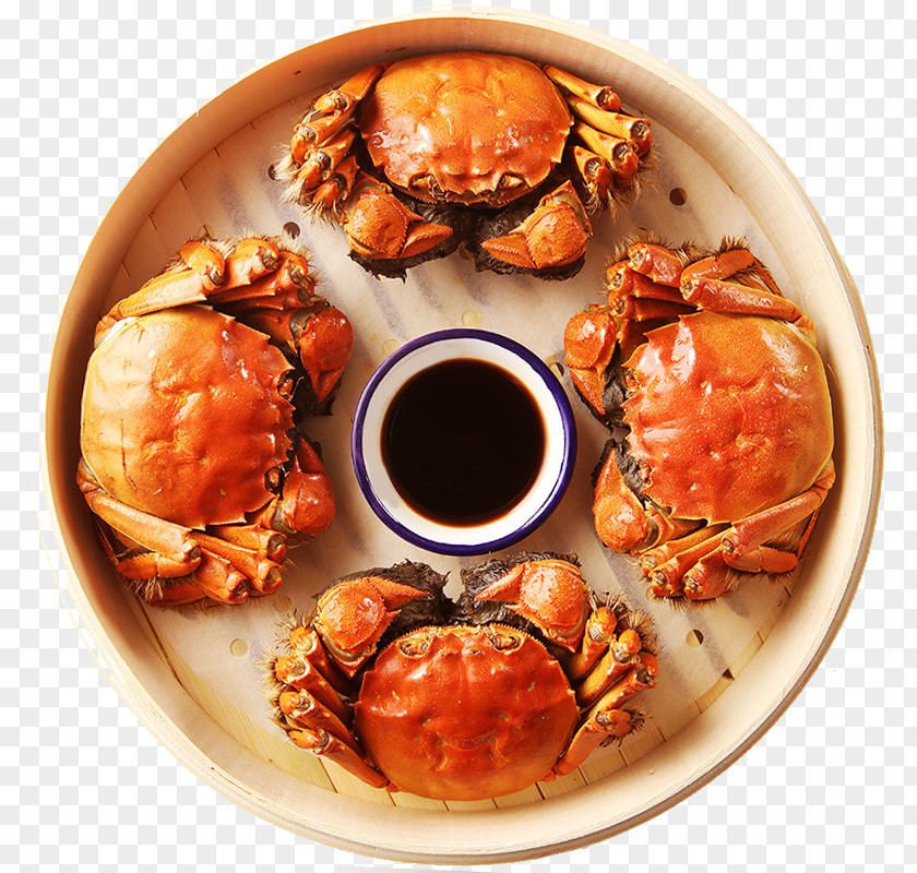 Yangcheng Lake Large Crab Chinese Mitten Seafood PNG large crab mitten Seafood, hairy crabs clipart PNG