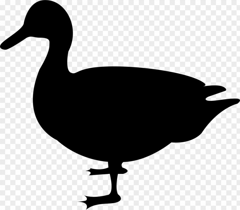 Duck Clip Art Goose Mallard PNG