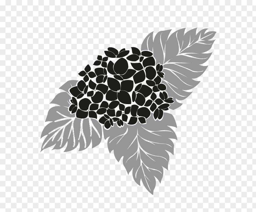 Hydrangea Black And White Visual Arts Leaf Tree Plant PNG