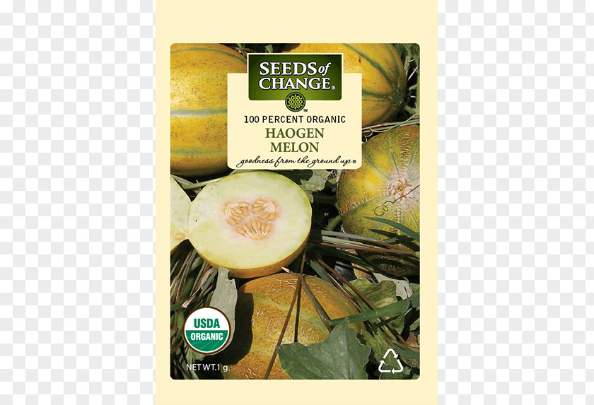 Melon Organic Food HaOgen Natural Foods Superfood PNG