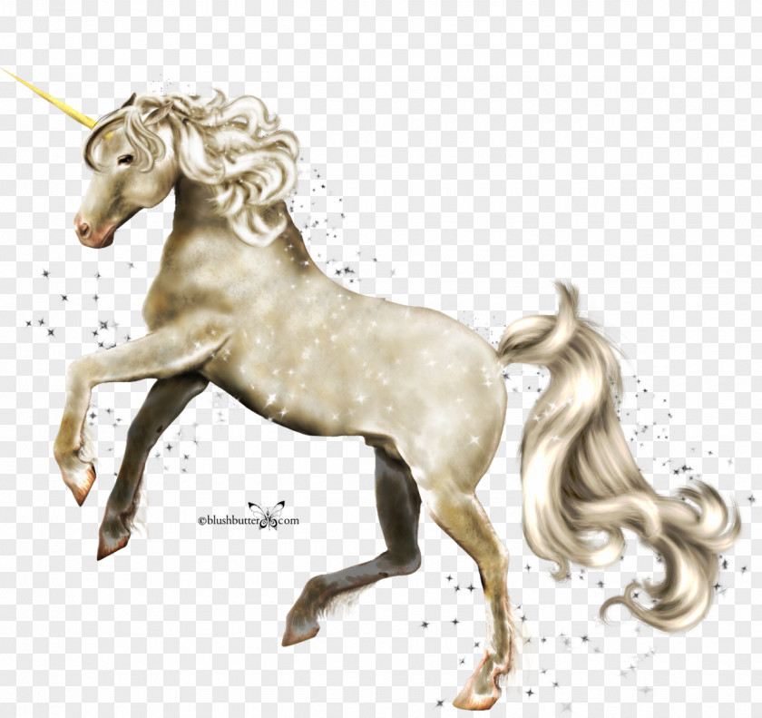Unicorn Horse Legendary Creature PNG