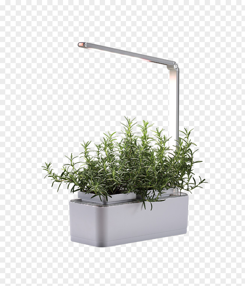 Urban Farm Herb Flowerpot PNG