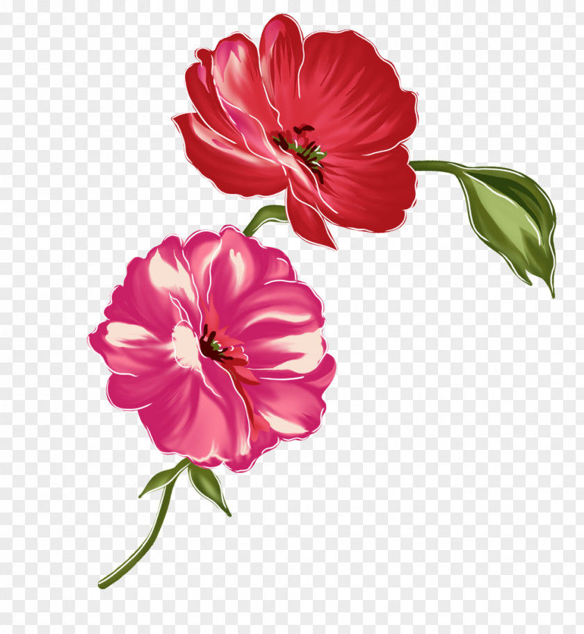 Watercolor Flowers Flower Red PNG