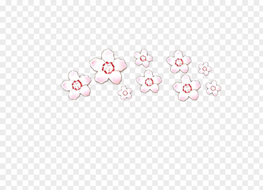 White Pink Flower Blossom Plant PNG