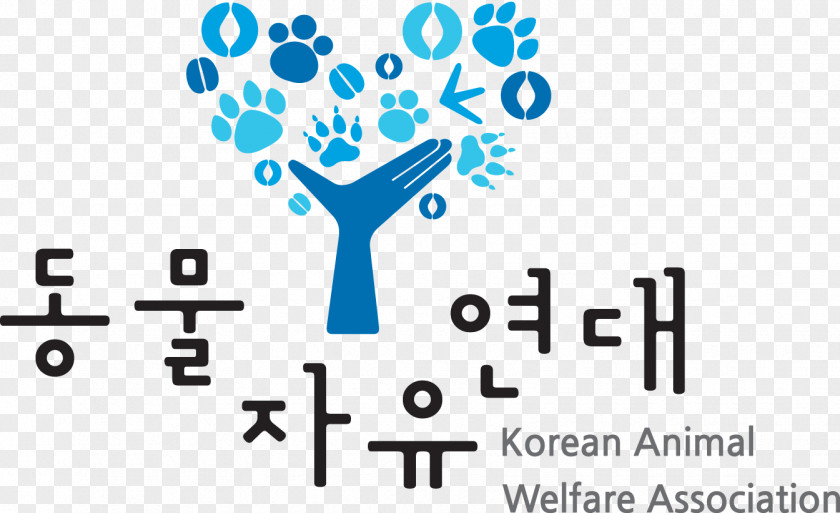 Animal Welfare Feral Cat Trap–neuter–return Korea Rights Advocates PNG