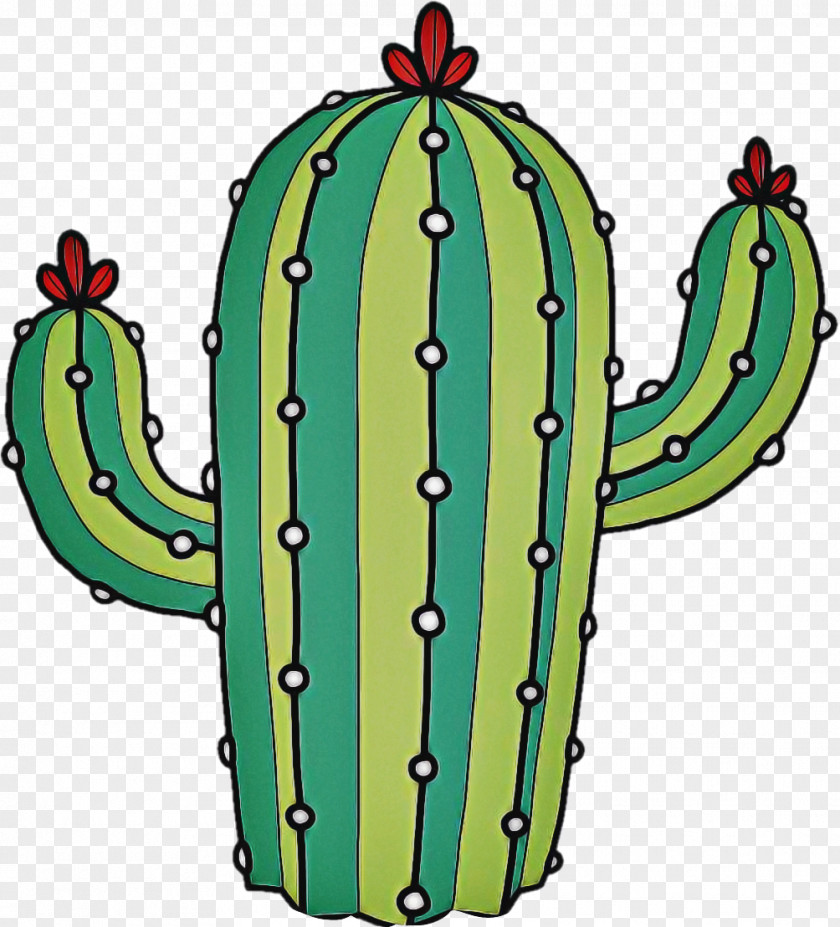 Barbary Fig San Pedro Cactus Cartoon PNG