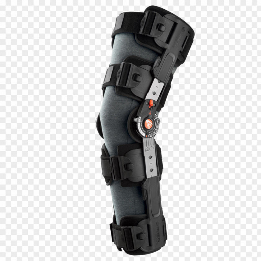 Bark Knee Joint Orthotics Splint Parapodium PNG