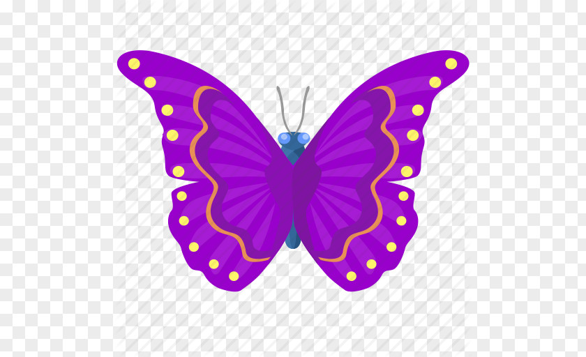 Cartoon Butterfly Monarch Insect Icon PNG