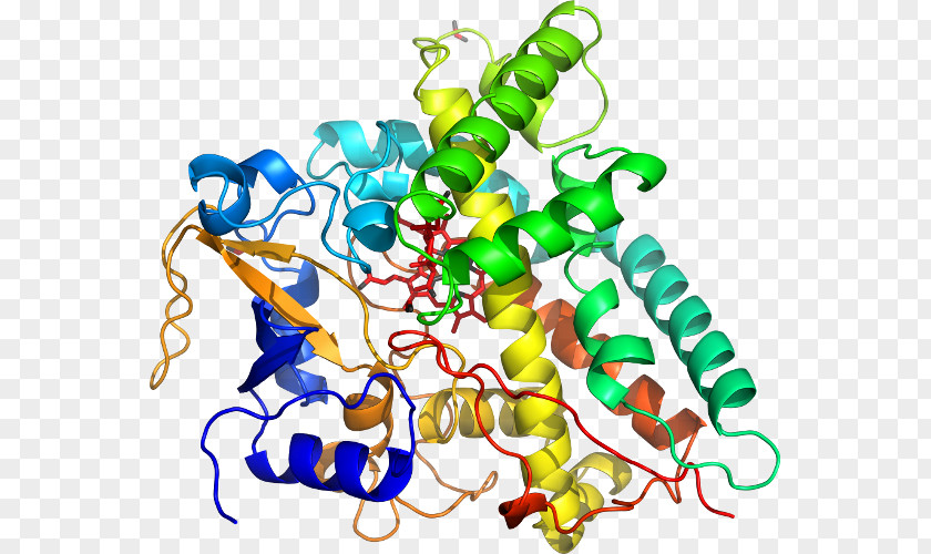 Farcinica Nocardia CYP1A2 Cytochrome P450 CYP2C19 Xenobiotic PNG