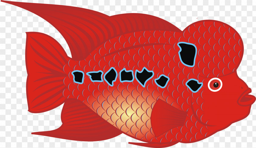 Fish Flowerhorn Cichlid Clip Art PNG