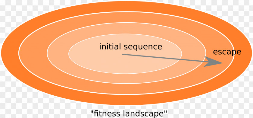 Immune System Mutation Rate Viral Evolution Fitness Landscape PNG